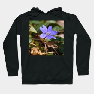 Liverflower In The Field Hoodie